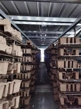 Hesheng Innovation Development tuam txhab nqis peev hauv kev txhim kho Pulp M...
