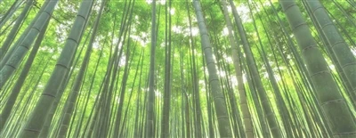 Voith Paper's XcelLine Paper Machines Honored Nrog German Sustainability Award